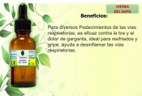 EXTRACTO DE HIERBA DEL SAPO